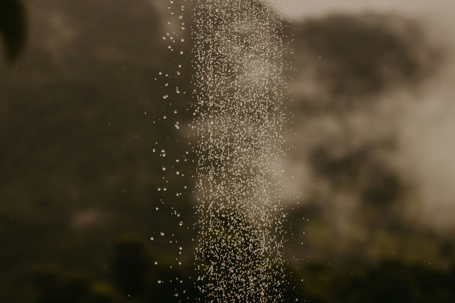 Hair Growth & Strength