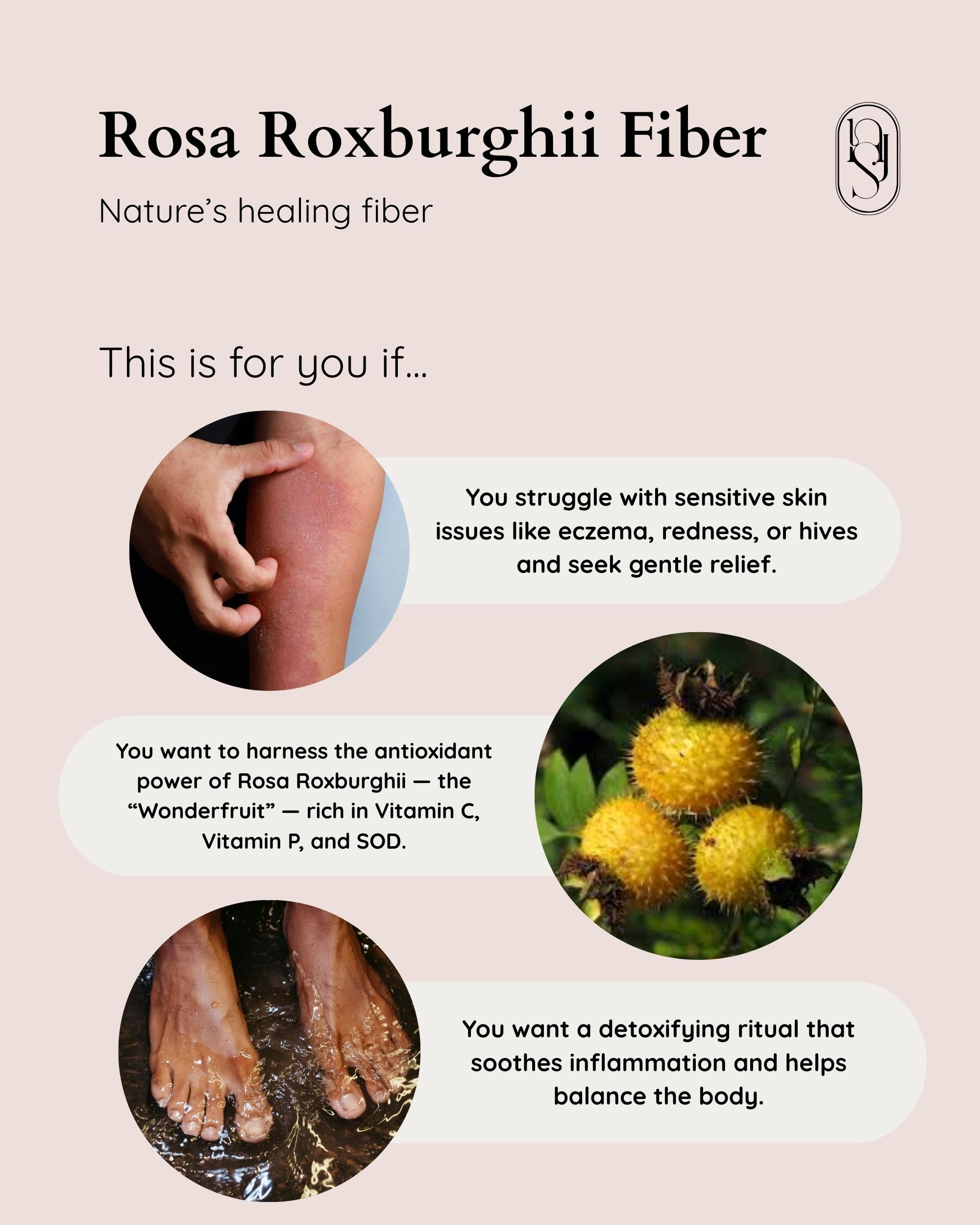 Rosa Roxburghii Fiber