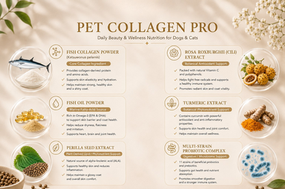 NSJ Wellness Pet Collagen Pro (PRE-ORDER)