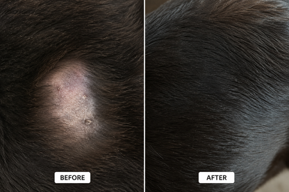 NSJ Wellness Pet Collagen Pro (PRE-ORDER)