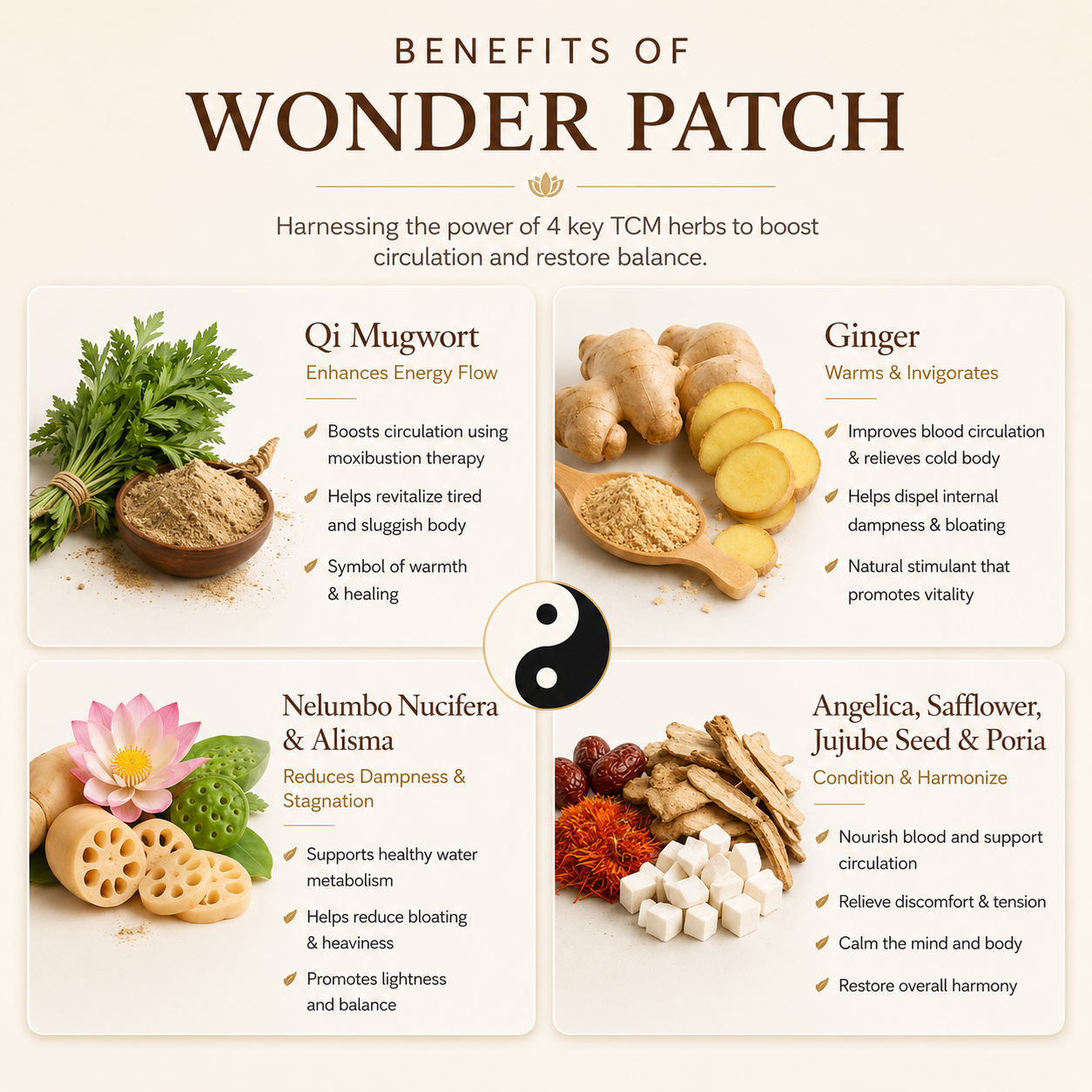 SS Wonder Patch
